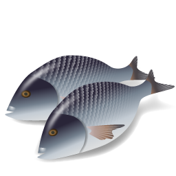 Ikan